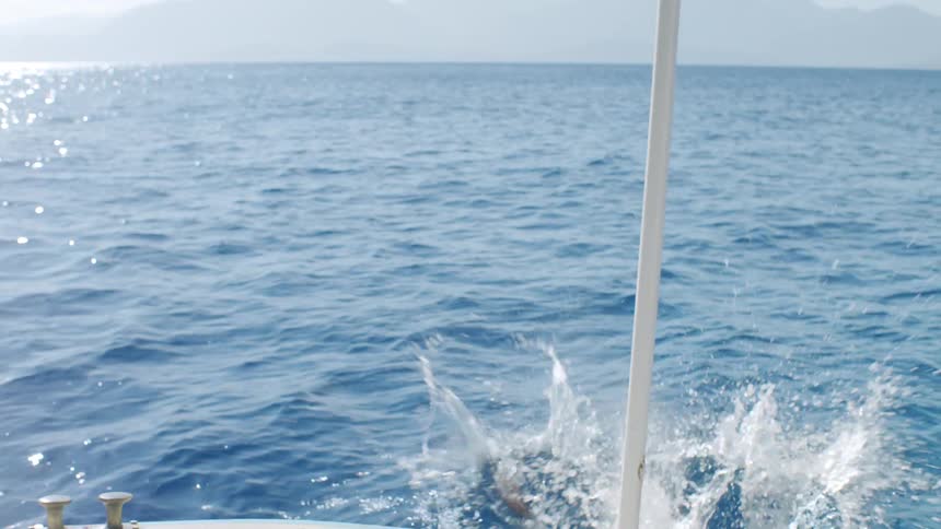 A woman in a swimsuit jumps joyfully into the ocean