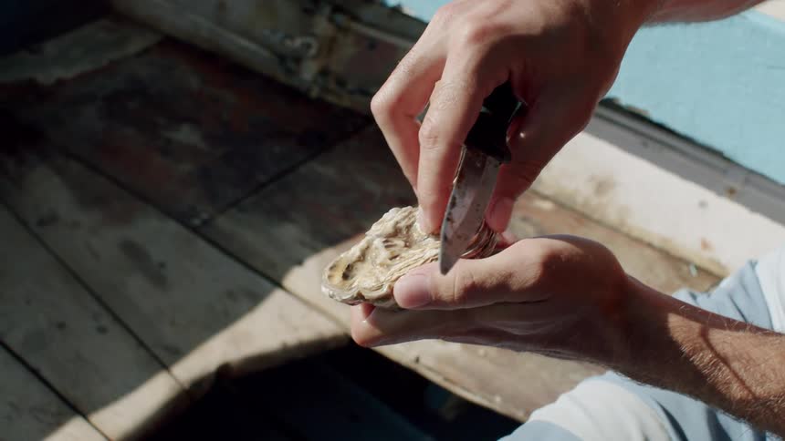 Pair of hands with a knife opening an oyster