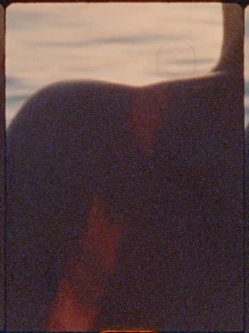 Woman in the ocean at the end of the afternoon