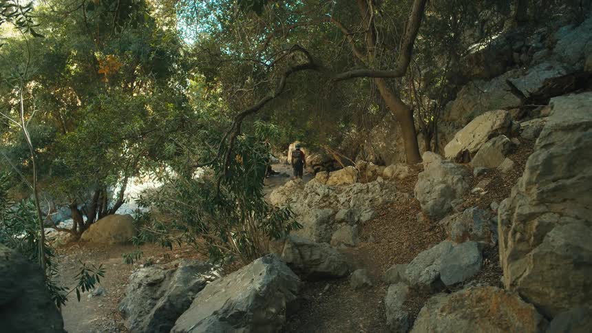 Person climbing a wooded mountain on a trail
