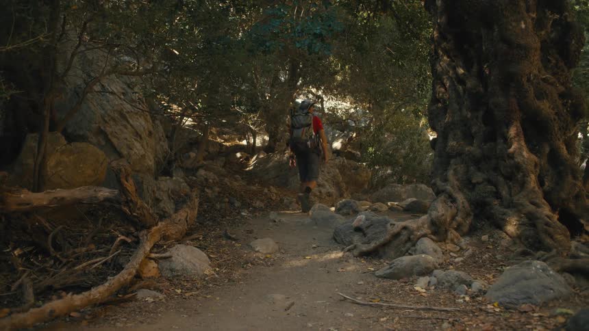 A hiker hikes along a rocky forest trail strewn with dry leaves