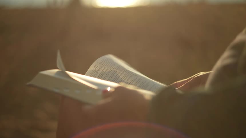 A closeup shot of hands holding an open book with the pages being rapidly flipped the scene is bathed in a warm golden light possibly from a sunset or sunrise creating a serene atmosphere