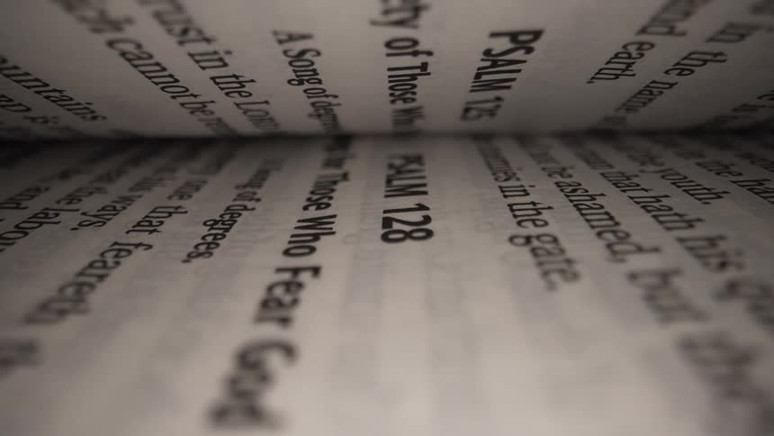 Words are on the pages of the book