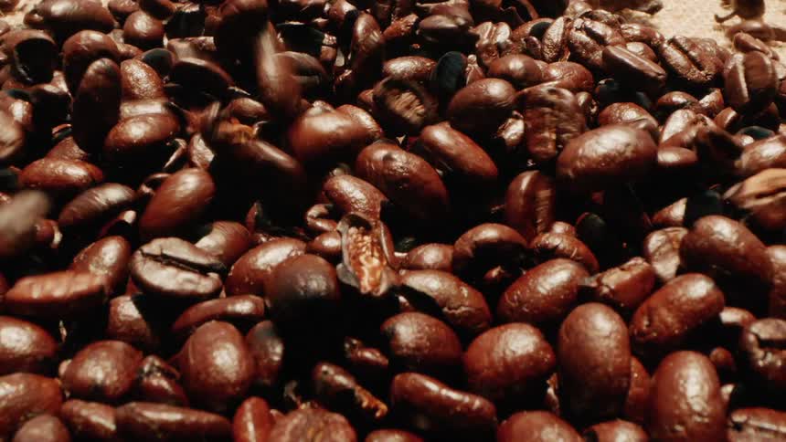Coffee beans falls onto a burlap covered surface