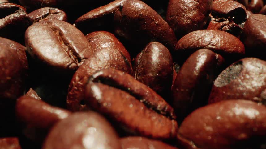 Coffee beans are laid out under the sun