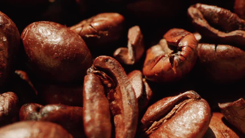 Coffee beans are laid out under the sun