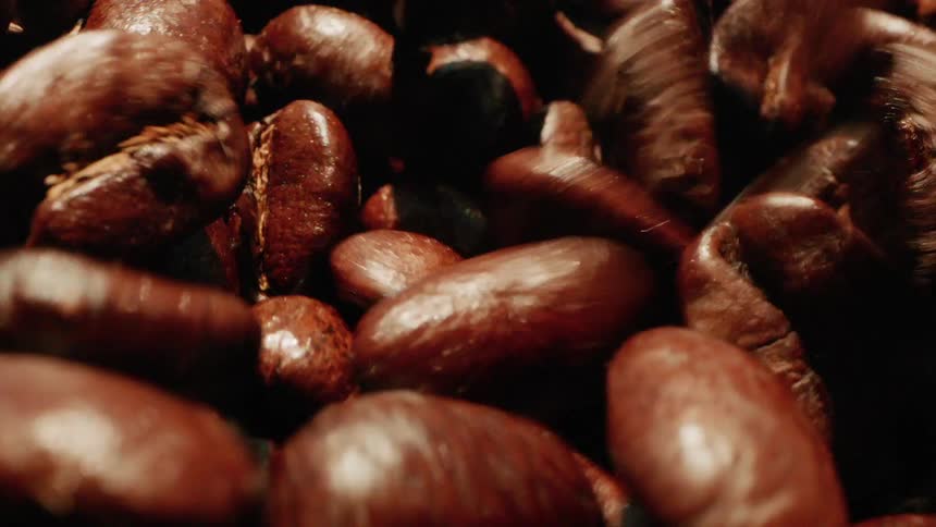 A series of coffee beans is being poured onto the ground outdoors under the sun to dry