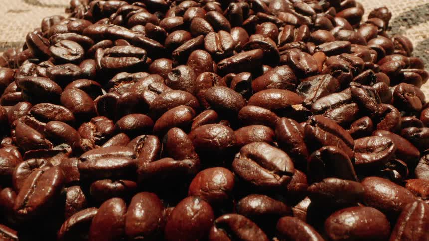 Coffee beans are spread out under the sun at midday