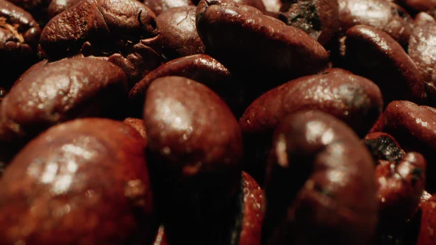 The area is full of coffee beans