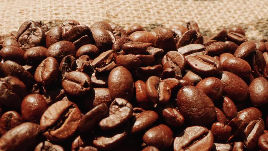 Coffee beans are spread out under the sun at midday