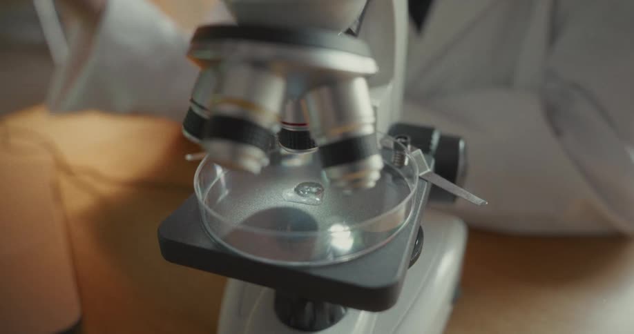A person slides a petri dish underneath a microscope