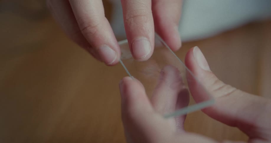 Pair of hands handling a small genetic material tool