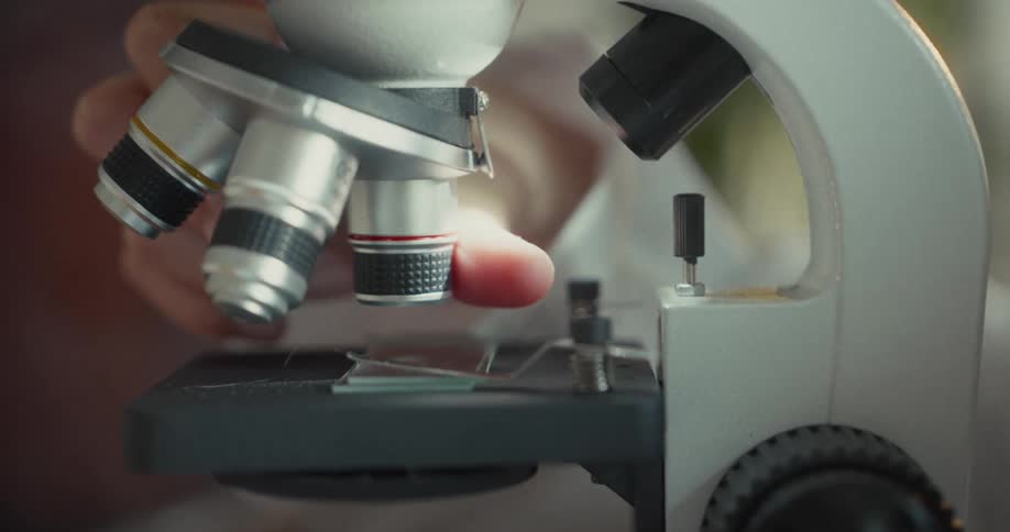 A lab worker turns the lenses on the microscope