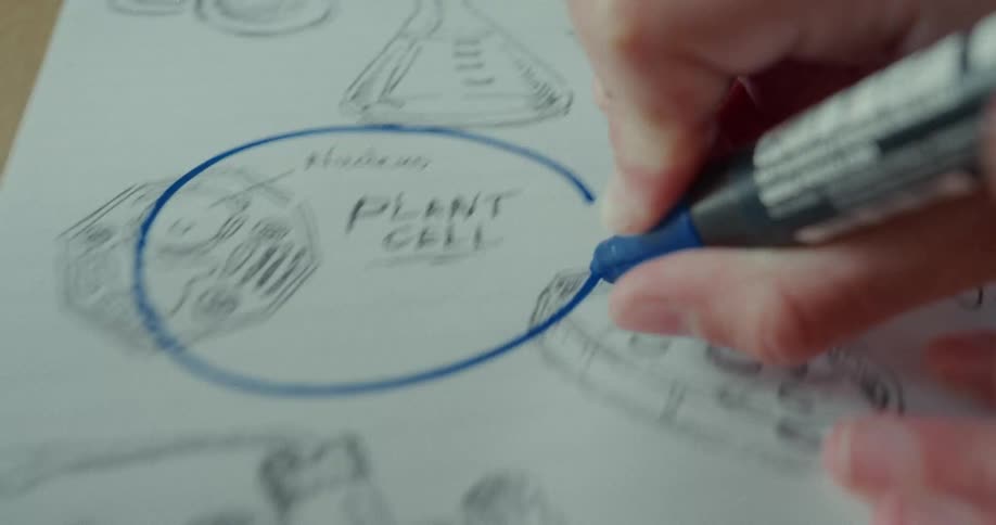 A hand holding a marker marks up a paper