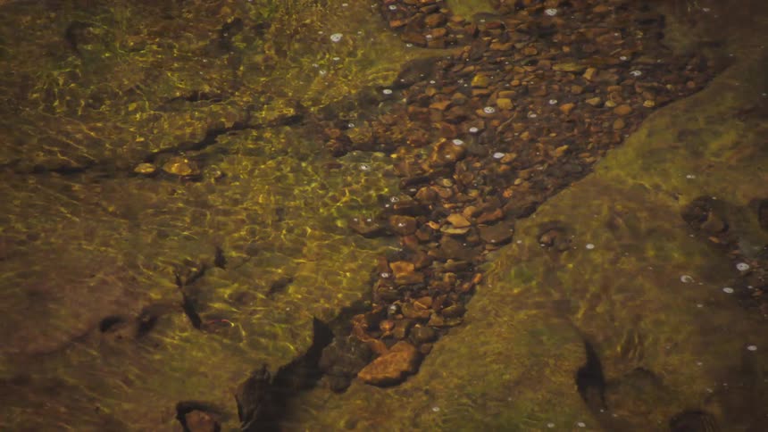 Calm water flowing in a river with rocks