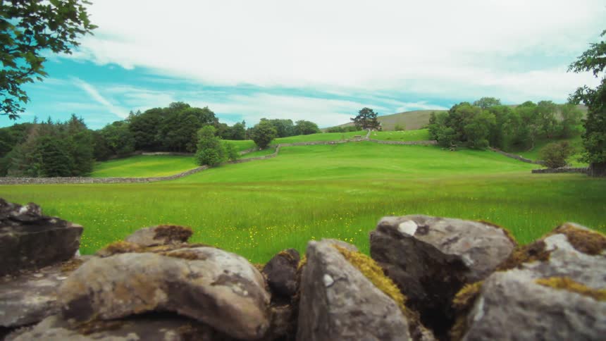 Grass field with trees and a stone wall in the foreground