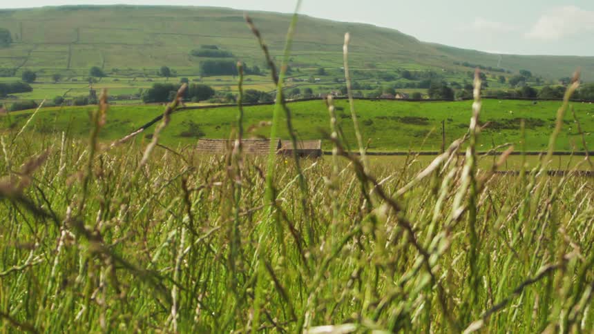 Homes are near the green hills