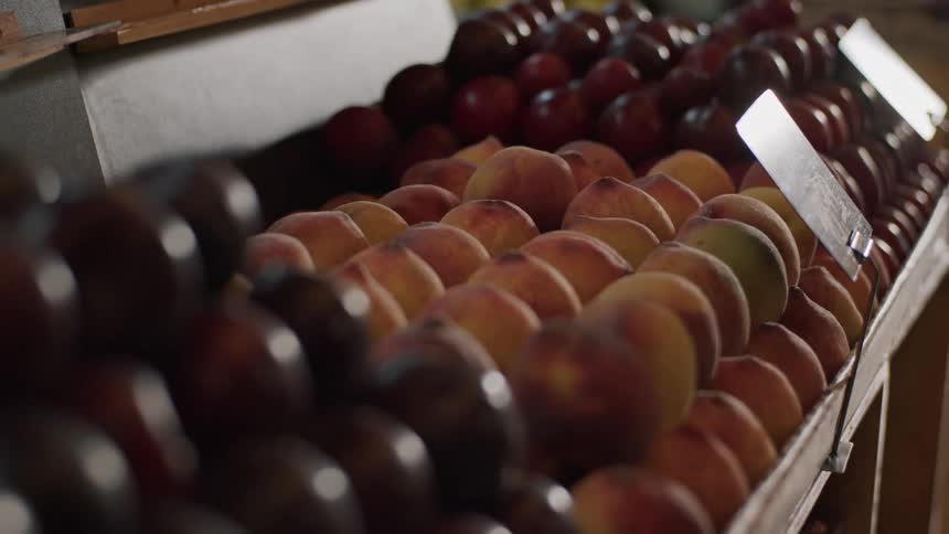 The fruit section of a grocery store displays peaches with a price tag in front at midday