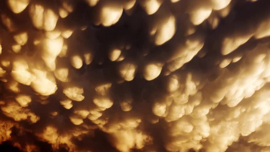 Sea of golden clouds