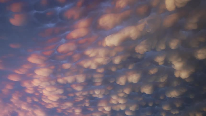 A dynamic closeup view of textured orangered clouds likely mammatus clouds against a deep blue or purple sky these clouds appear bulbous and hang in pouches giving a unique and striking appearance possibly during a sunset or sunrise