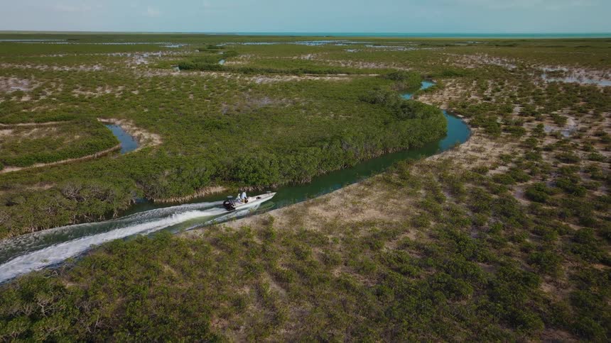 The speedboat turns around the winding stream