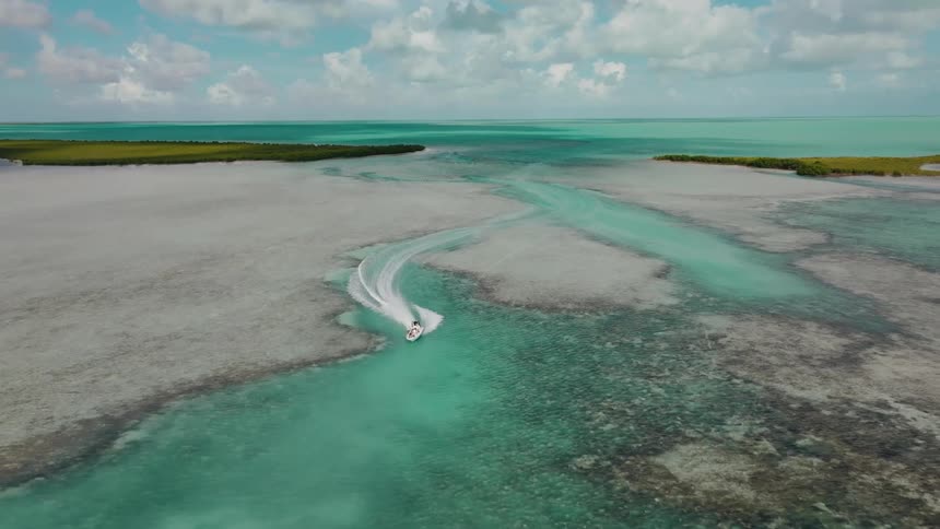 The speed boat travels through the channels by the shore