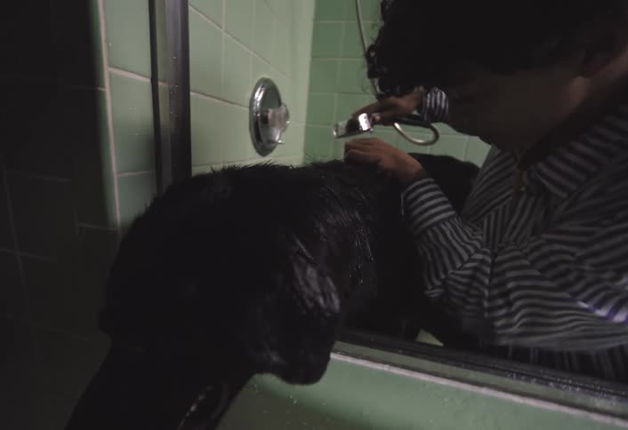 Boy crouches in the bathtub with his dog while rinsing the animal with the shower head