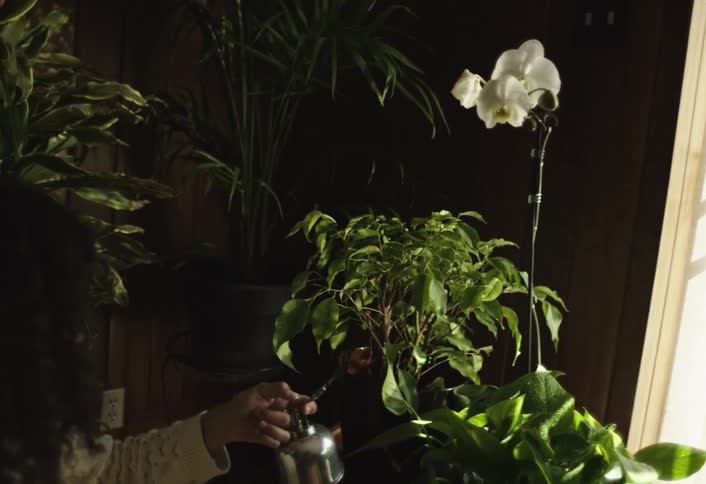 Person with curly hair watering plants