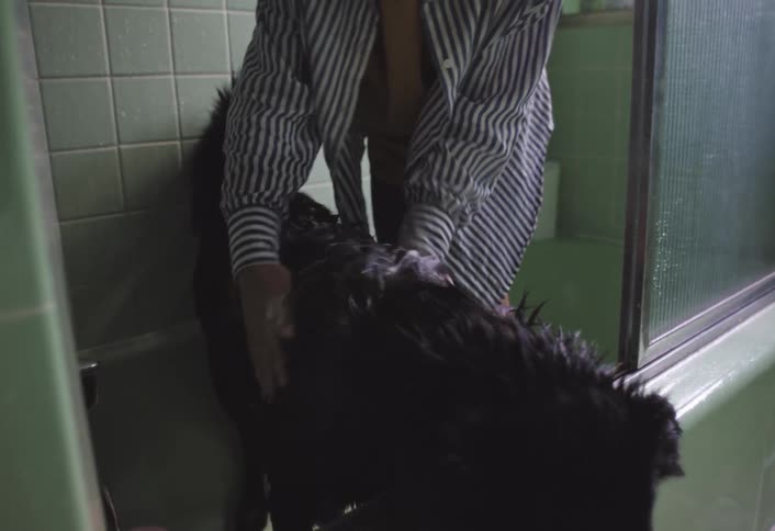 Male teenager washes his black pet dog in the bathroom during daytime