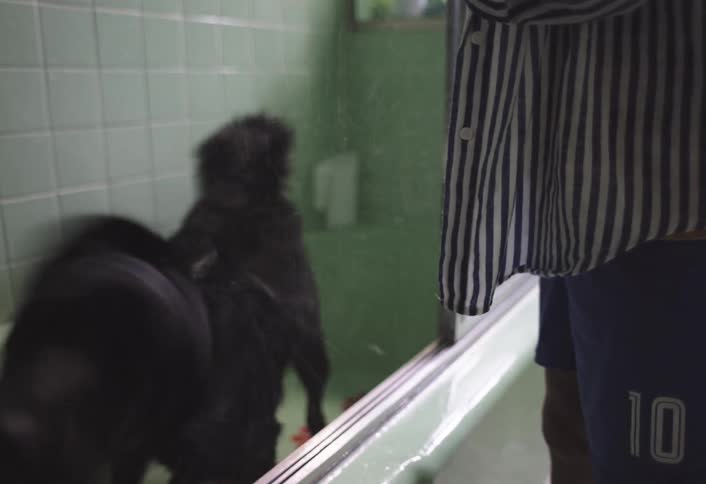 Dog in a bathtub next to a person rocking with wet fur