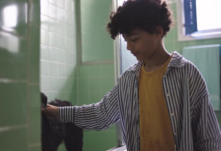 Boy giving a treat to a wet dog in the bathtub and stroking its fur