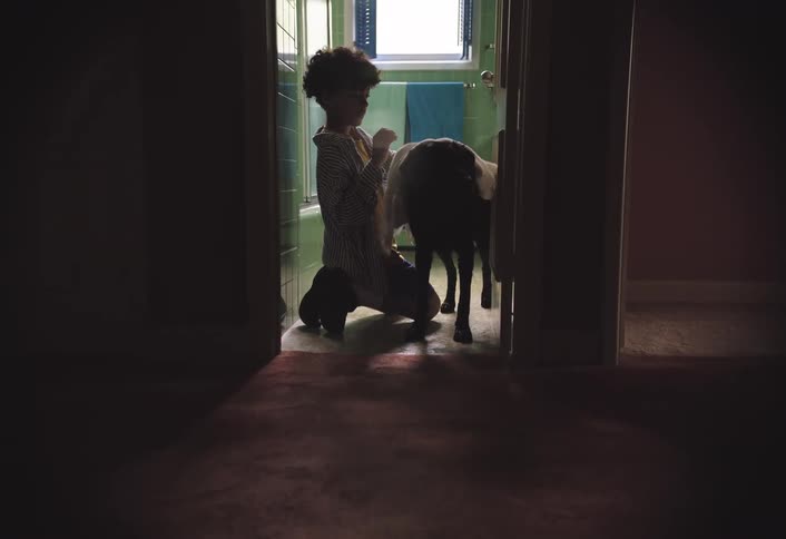 Boy in the bathroom drying a dogs fur