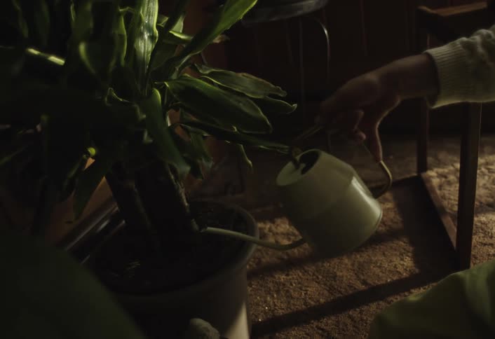 A person uses a small watering can to water an indoor potted plant