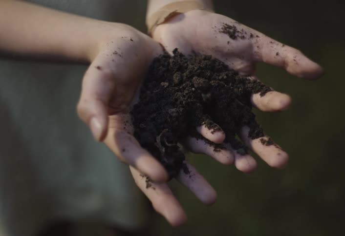 The video features a closeup of a persons hands holding a handful of dark rich soil which is gently sifted and falls between their fingers the hands are slightly dirty indicating recent work with the earth and theres a small bandage on one wrist