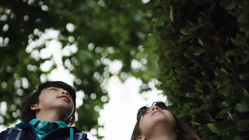 Boy and his younger sister wear backpacks and look at the leaves high above them