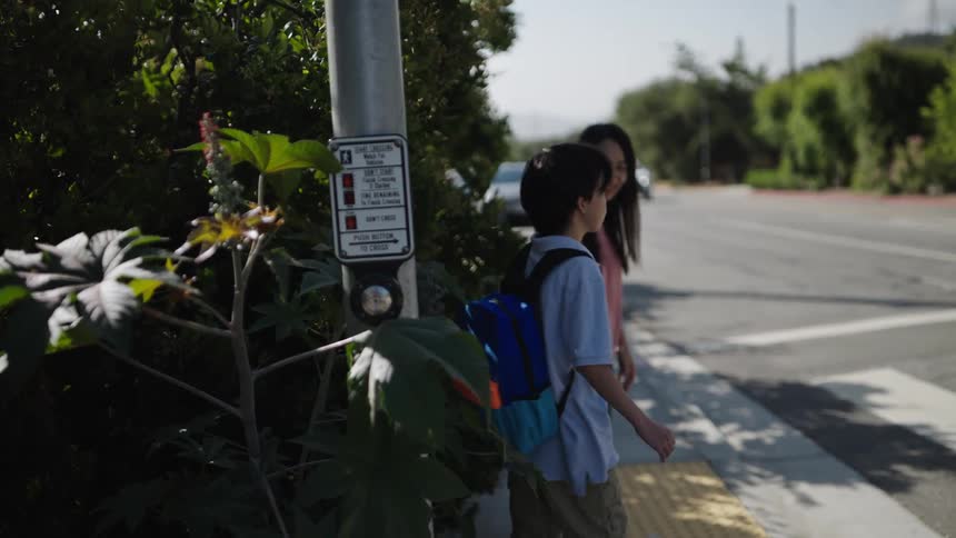 Boy with his mother pressing a traffic light button