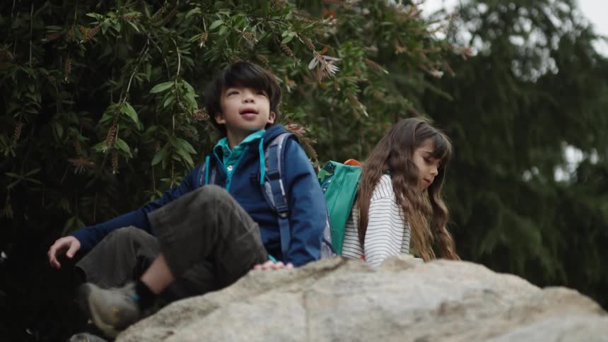 Boy and girl smile after climbing onto a large boulder near a tree during the daytime