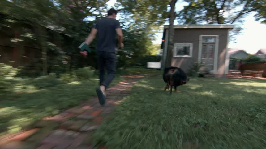 Dog following a man outdoors in a houses backyard