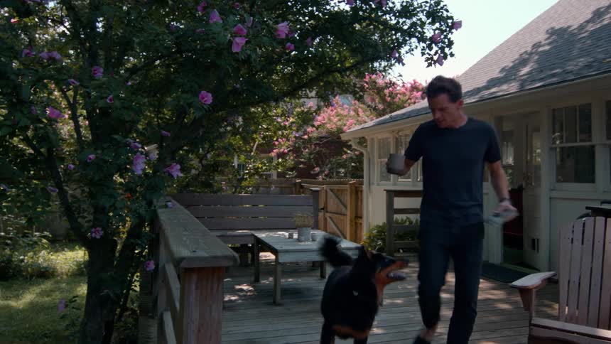 A person walks a dog along a wooden deck beside a house surrounded by blooming flowers and lush trees