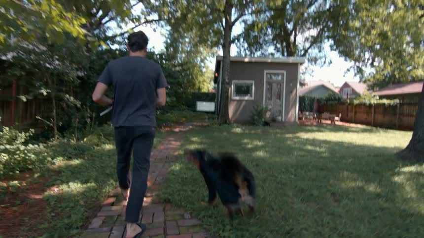 A large black dog leaps playfully beside a person stepping off a porch and walking through a backyard with a small shed in view