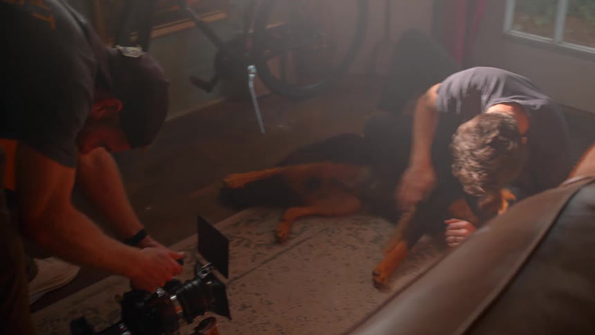 A person films a man petting a dog lying on a patterned rug in a cluttered room with a bicycle and shelves nearby