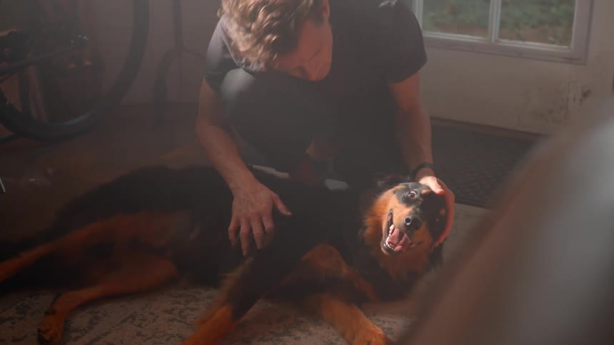 Man petting a dog lying on the living room rug