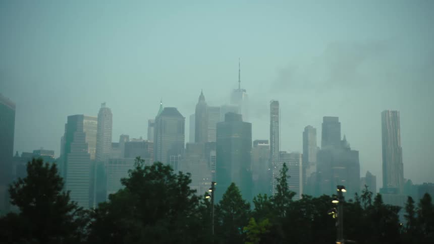 A citys skyline is positioned beyond a series of trees