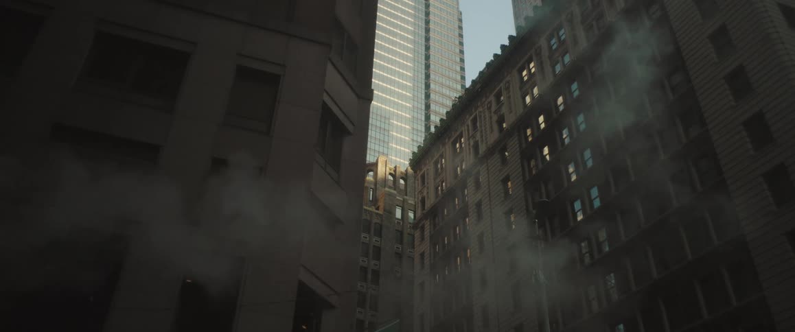 Urban and commercial buildings in a metropolis