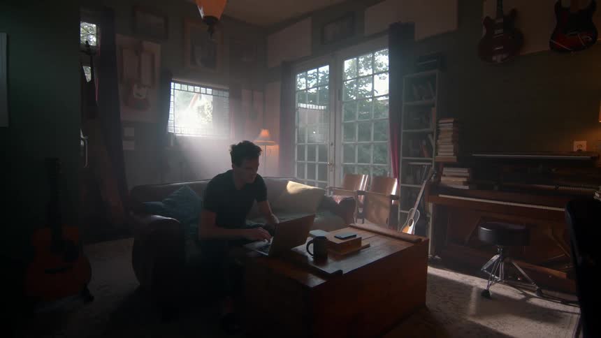 A man uses a laptop while seated in a sunlit room with green walls guitars bookshelves and a brown leather couch
