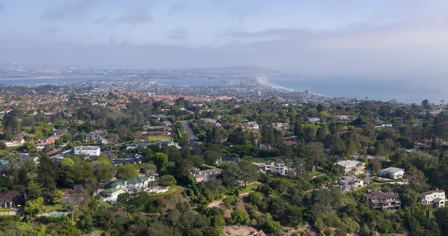 Homes are surrounded by trees in the suburbs
