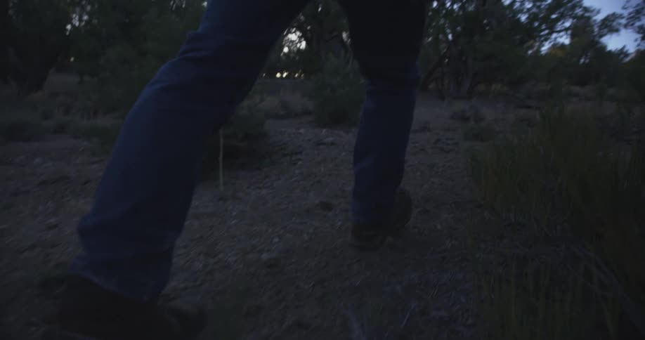 Legs of a person walking along a trail