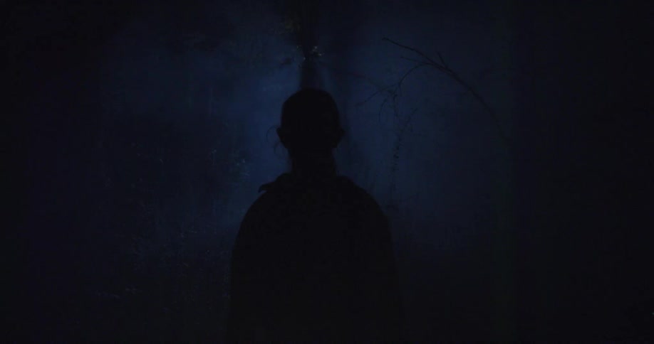 Silhouette of a person in a forest at night