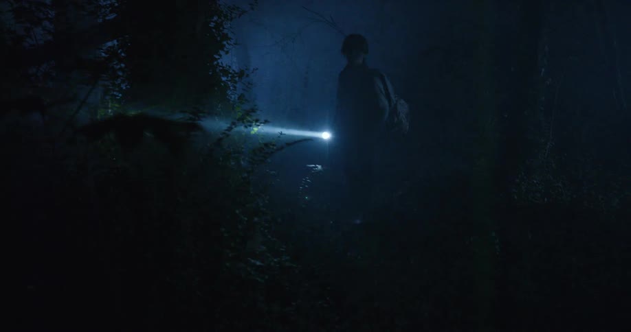 A person holding a flashlight walks through a dark misty forest at night illuminating the path and surroundings with the beam