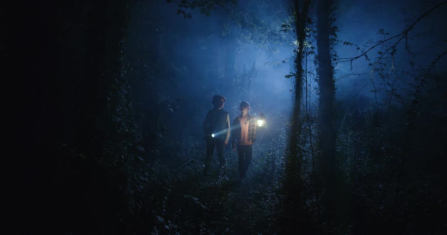 The video shows two figures walking through a dark foggy forest at night illuminated by the beams of their flashlights the atmosphere is mysterious and somewhat eerie due to the heavy mist and limited visibility